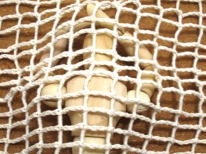 【初心者必見】オーリーの友人がFX大勝ち後にロスカット！？初心者に待ち受ける罠とは？