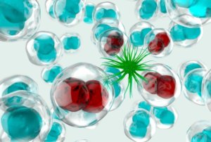 ついに新型コロナの予防が可能に!?人工抗体の開発について解説!