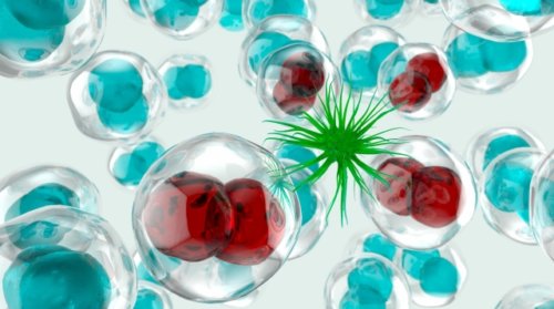 Finally, a new type of corona can be prevented! Explaining the development of artificial antibodies!