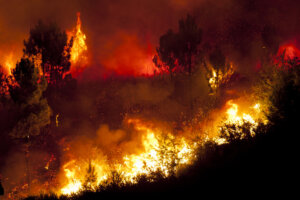 ハワイで過去100年で最悪の山火事が発生か。