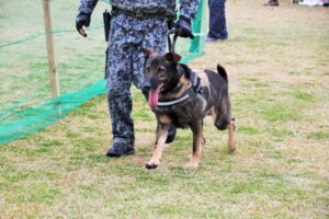 能登半島地震から一週間後も救助難航か。