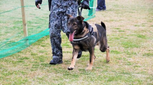 能登半島地震から一週間後も救助難航か。