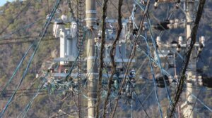 4月の電気代は6社で値下がりへ。