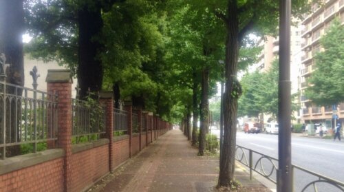 東大が授業料10万円超の値上げを正式決定へ。