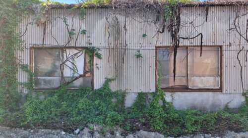 従業員の退職による倒産が過去最多に。