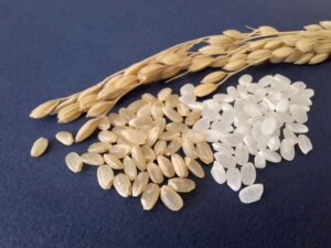 コメ価格が18週ぶりに下落へ。