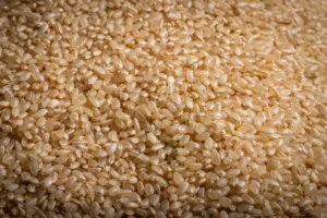 随意契約の影響で卸売業者間でコメ価格が下落か。