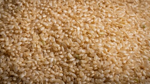 随意契約の影響で卸売業者間でコメ価格が下落か。