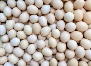 卵高騰がエッグショック超えか。