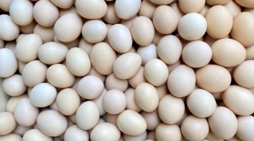 卵高騰がエッグショック超えか。