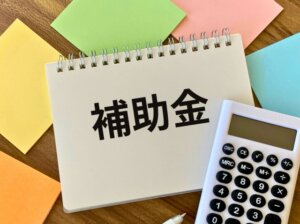 物価高対策の交付金は年内実施か？