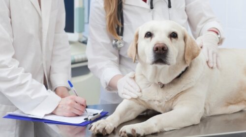 ワーキングケアラーが2030年に438万人へ。