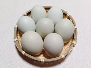 卵1パックが308円の最高値へ。