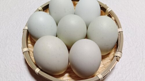 卵1パックが308円の最高値へ。